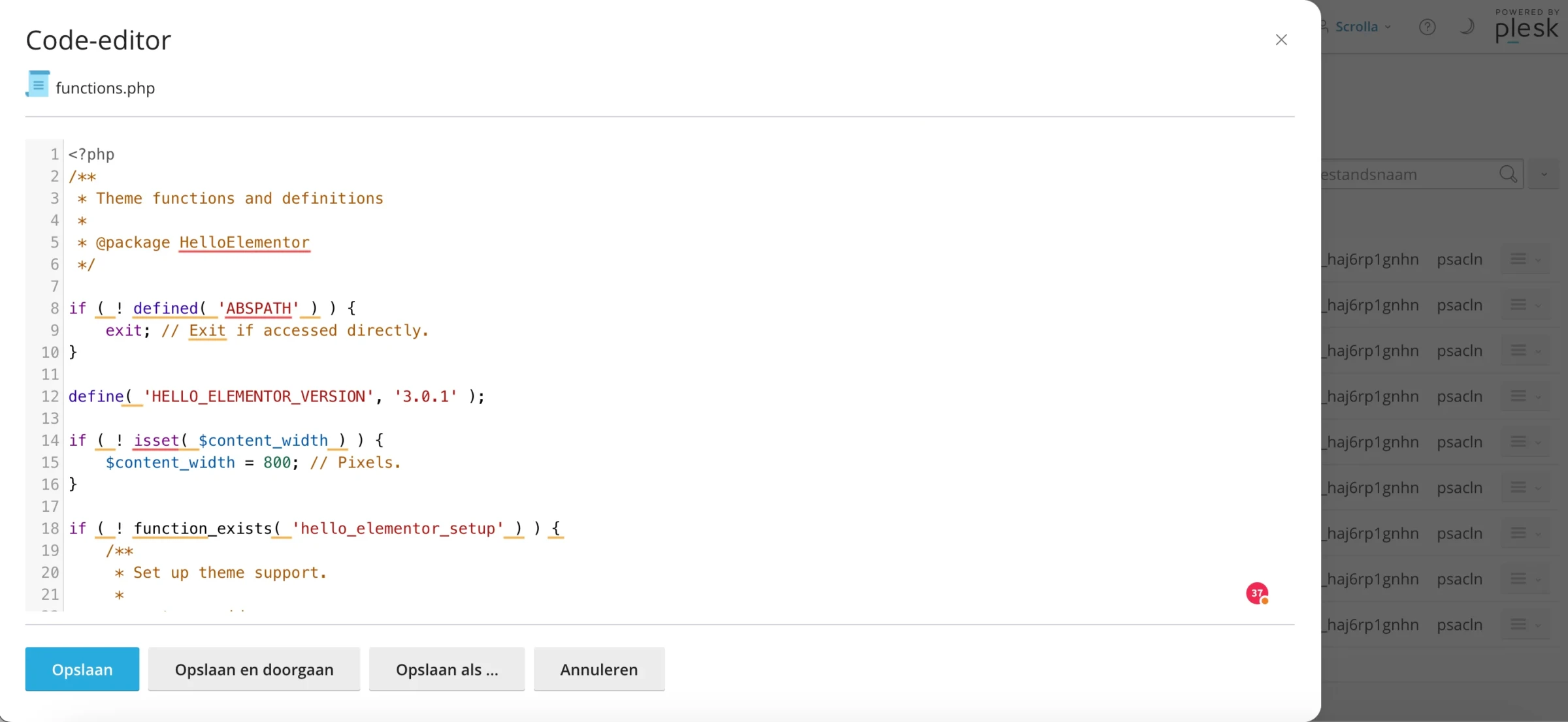 Functions.php bewerken in Plesk